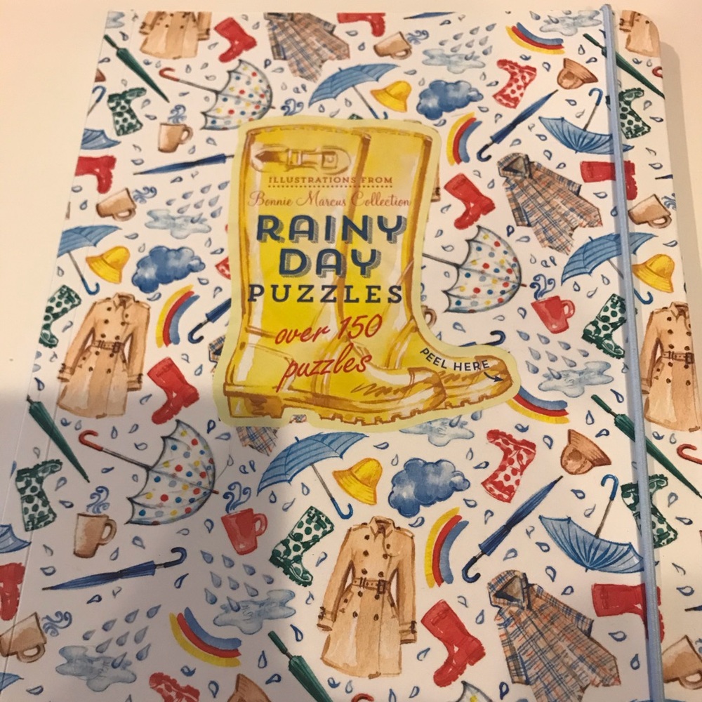 Rainy day puzzle book